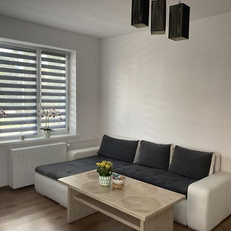 Apartament W Centrum Malborka Daire Dış mekan fotoğraf