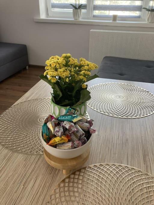 Apartament W Centrum Malborka Daire Dış mekan fotoğraf