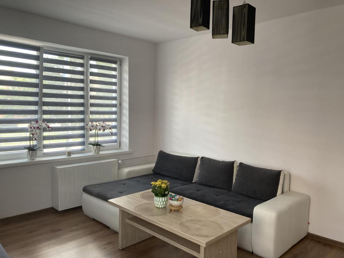 Apartament W Centrum Malborka Dış mekan fotoğraf